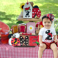 Laffact Ladybug ONE Letter Sign Wooden Table Centerpieces Daisy Red and Black Bug Wood Table Topper First 1st Birthday Milestone Sign Spring Ladybug Theme Decor for Kid Girl Baby Shower Photo Props